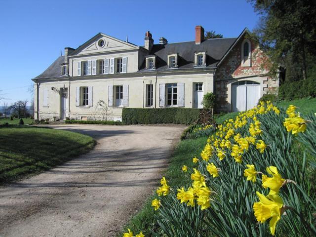 Chambres D'Hotes Le Chateau De La Plante Thuré Zewnętrze zdjęcie