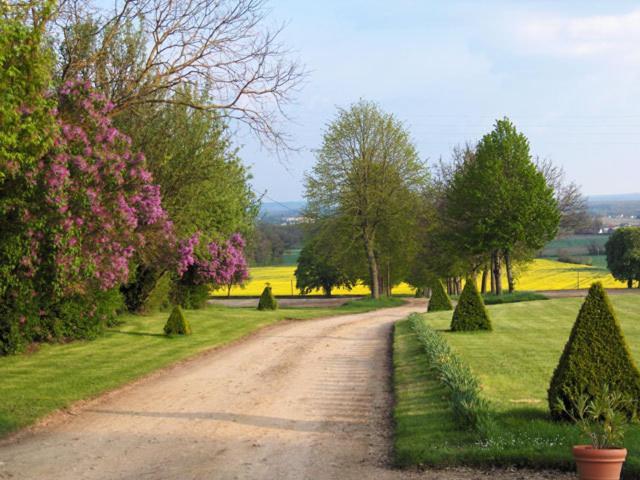 Chambres D'Hotes Le Chateau De La Plante Thuré Zewnętrze zdjęcie