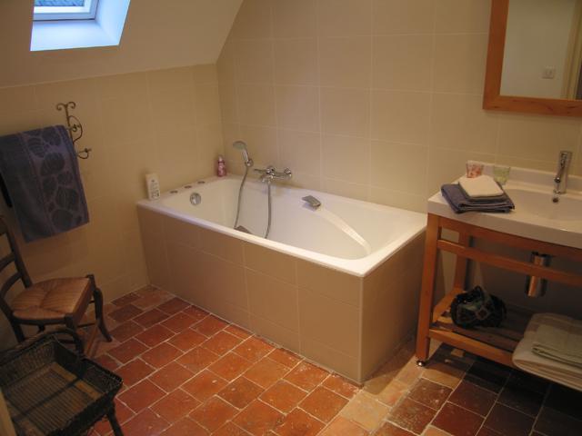 Chambres D'Hotes Le Chateau De La Plante Thuré Zewnętrze zdjęcie